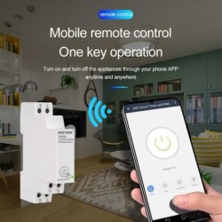 Comutator WIFI temporizat , Sinotimer, digital monofazat de la distanta SINOTIMER TM608 AC 110V 220V 16A 18mm